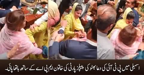 Scuffle between PTI's Dua Bhutto and PPP's Kulsoom Chandio in Sindh Assembly