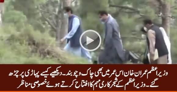 See How Energetic PM Imran Khan Is Even At This Age