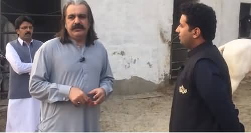 See The Amazing Life Style of PTI Leader Ali Amin Gandapur