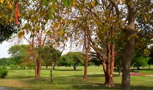 See The Amazing Natural Beauty of Lahore - Introduction of Different Trees