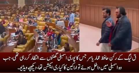 See the reaction of assembly when PMLQ member Ammar Yasir entered assembly who was being waited for hours