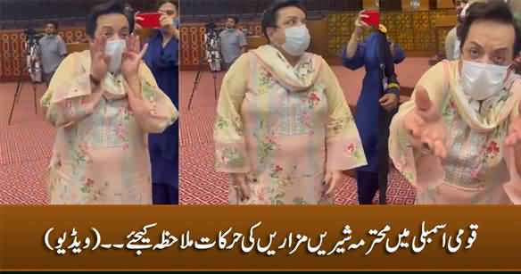 See What Shireen Mazari Is Doing In National Assembly