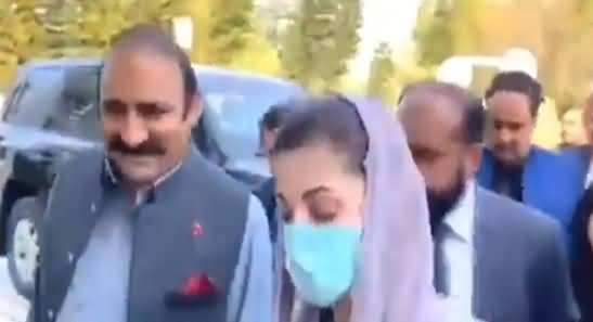 Sehafi Maryam Nawaz Se Sawal Pochte Huwe Gir Para, See Maryam's Reaction