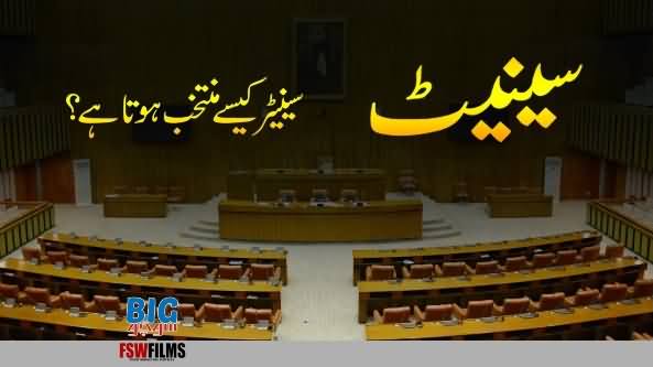 Senate of Pakistan: How Do Senators Get Elected - Complete Detail of Senate Election Procedure