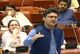 Senator Faisal Javed Khan Complete Speech in Senate - 31st May 2019