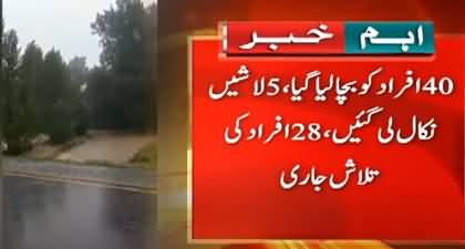 Seven bodies recovered, 40 rescued after 75 people swept away in Swat River