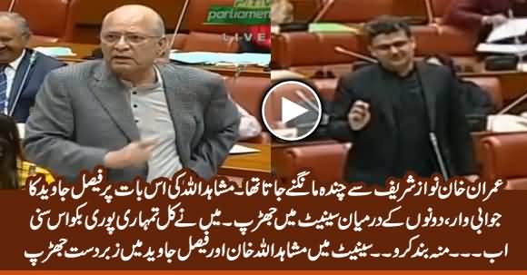Severe Clash Between Mushahid Ullah Khan & Faisal Javed Khan in Senate