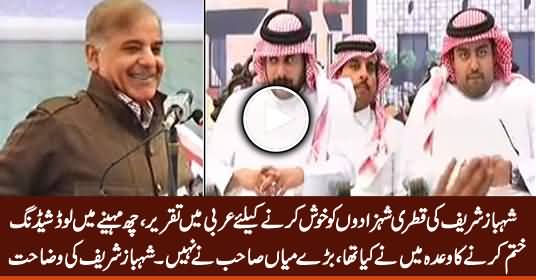 Shabaz Sharif Speaking Arabic Language To Please Qatari Princes in Bhakkar