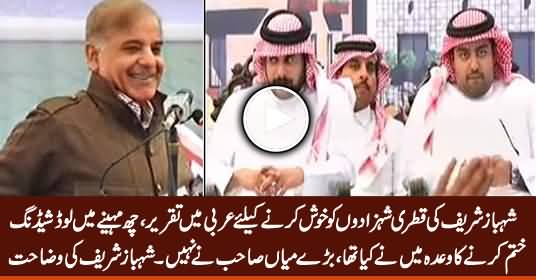 Shabaz Sharif Speaking Arabic Language To Please Qatari Princes in Bhakkar