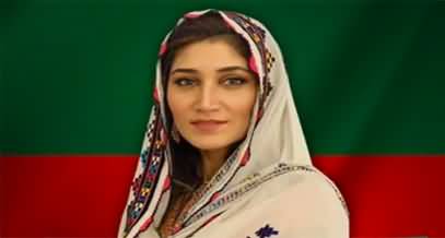 Shah Mehmood Qureshi's daughter defends her selection as PTI candidate on twitter