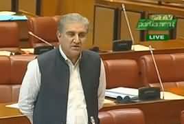 Shah Mehmood Qureshi Speech About Foreign Policy in Senate - 29th August 2019