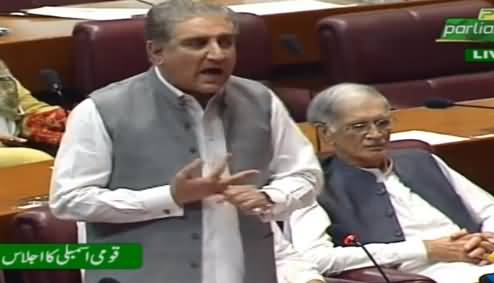 Shah Mehmood Qureshi Speech In National Assembly - 29th July 2019