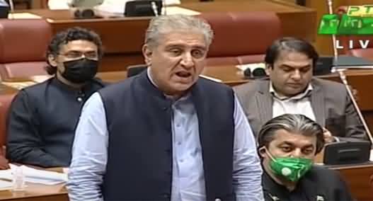 Shah Mehmood Qureshi Speech on Palestine Israel Issue in Senate - 25th May 2021