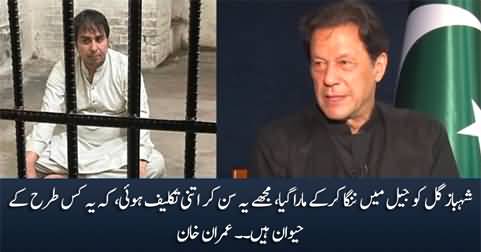 Shahbaz Gill Ko Jail Mein Nanga Kar Ke Maara Gaya - Imran Khan