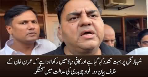 Shahbaz Gill Per Bohat Tashadad Kia Gya Hai - Fawad Chaudhry