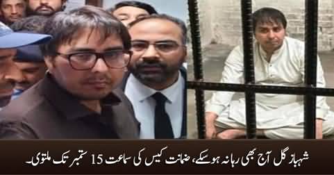 Shahbaz Gill's bail plea hearing adjourned till September 15