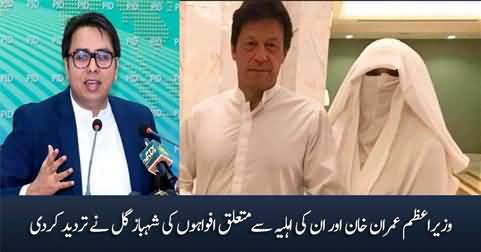 Shahbaz Gill's response on rumors about Imran Khan and his wife