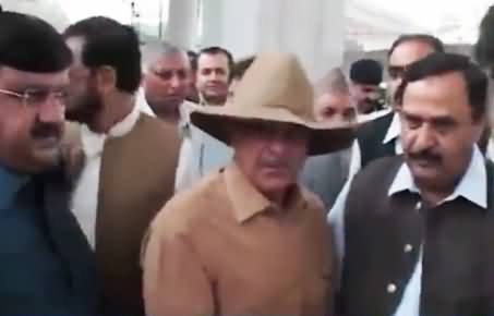 Shahbaz Sharif or Indiana Jones? Watch New Look of Khadim-e-Aala Shahbaz Sharif