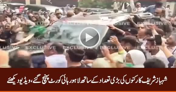 Shahbaz Sharif Reached Lahore High Court With Large Crowd of PMLN Workers