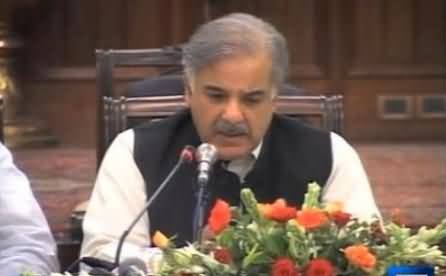 Shahbaz Sharif Vs Shehla Raza Chit Chat on Twitter, Interesting and Funny