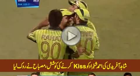 Shahid Afridi Tried to Kiss Ahmad Shahzad, Misbah-ul-Haq Stopped Him in Time