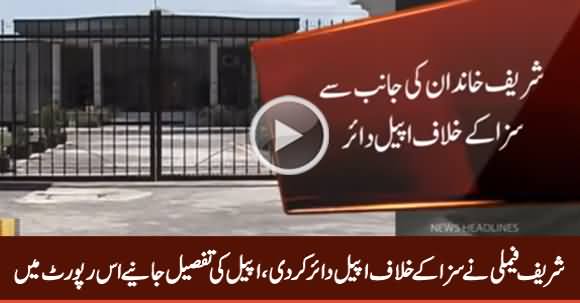 Sharif Family Challenged Avenfield Verdict in Islamabad High Court