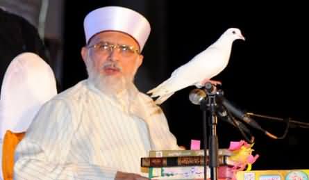 Sharif Family is Trying to Escape From Pakistan to America - Dr. Tahir ul Qadri Reveals