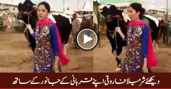 Sharmila Farooqi Apne Qurbani Ke Janwar Ke Sath, Exclusive Video