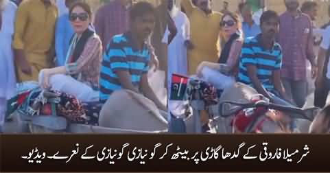 Sharmila Farooqi chanting slogans against Imran Khan while sitting on donkey cart
