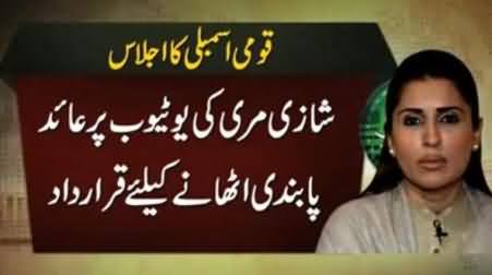 Shazia Mari Presents Resolution in National Assembly to Lift Youtube Ban