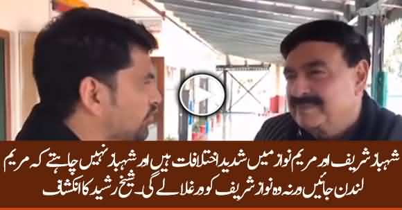 Shehbaz Sharif Doesn't Want Maryam Nawaz To Go To London - Sheikh Rasheed Reveals