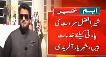 Shehryar Afridi comes forward in support of Sher Afzal Marwat