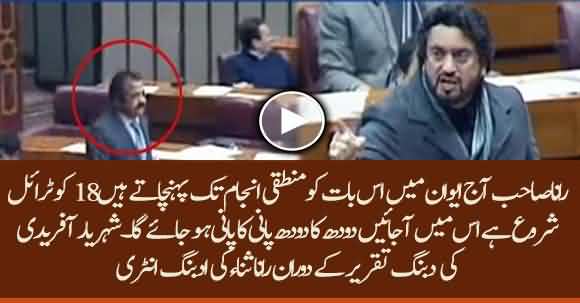 Shehryar Afridi Electrifying Speech In Assembly Challenges Rana Sanaullah To Present Himself In Trial