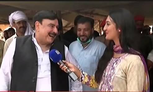 Sheikh Rasheed Purchases A Camel for Eid ul Azha, Telling His Price