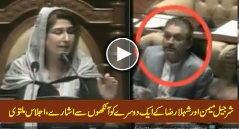 Sherjeel Memon Signals Shehla Raza During Sindh Assembly Session