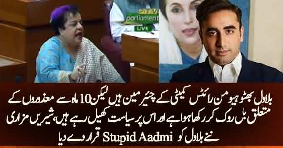 Shireen Mazari Angry On Bilawal And Calls Bilawal Bhutto 