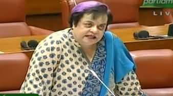 Shireen Mazari Speech in Senate Session Today - 14th November 2019