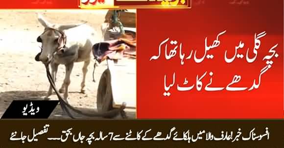Shocking! 7 Year Old Boy Died After A Donkey Bit Him in Arifwala