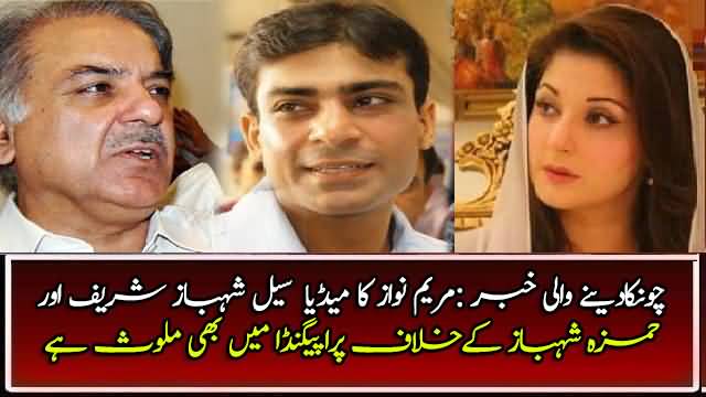 SHOCKING!! Maryam Nawaz Social Media cell was also involved thrashing Shahbaz Sharif & family