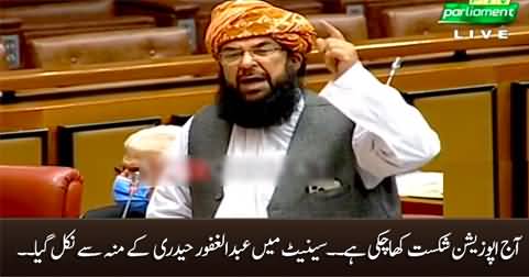 Slip of tongue? Abdul Ghafoor Haidri says in senate 'Today, the opposition has been defeated'