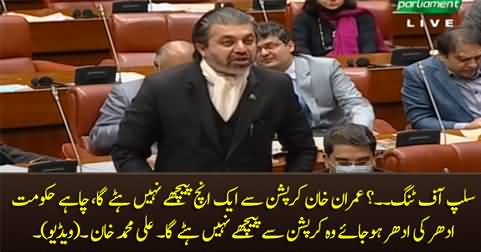 Slip of tongue?? Ali Muhammad Khan says Imran Khan will not quit corruption