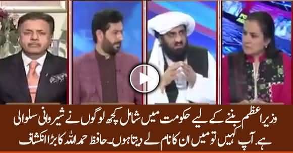 Some Ministers Are Ready To Become PM In Govt Instead Of Imran Khan - Hafiz Hamdullah