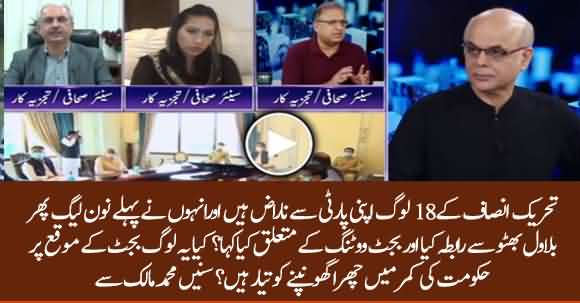 Some PTI Members Are Not Willing To Vote In Budget 2020 - Mohammad Malick Reveals