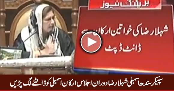 Speaker Sindh Assembly Shehla Raza Taunting Members During Assembly Session