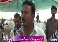 Special Transmission On Roze TV (Eid Special) – 24th September 2015