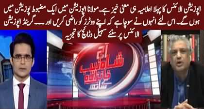 Suhail Waraich's views on opposition's grand alliance and Maulana Fazlur Rehman's role