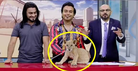 Syed Qasim Abbas Comes to Morning Show With His Pet Lion (Cub)