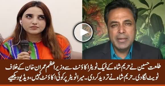 Talat Hussain Shares Hareem Shah's Fake Tweet Against PM Imran, Hareem Says She Has No Twitter Account