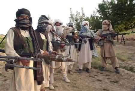 Taliban Demands Govt to Ceasefire First, Then They Will Ceasefire As Well