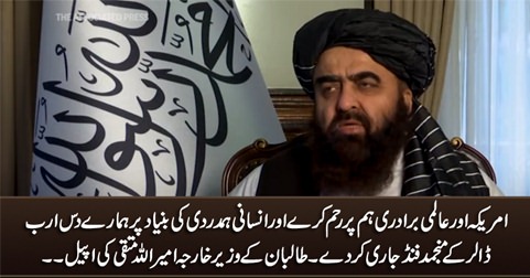 Taliban foreign minister begged America to have mercy on them and release their frozen funds